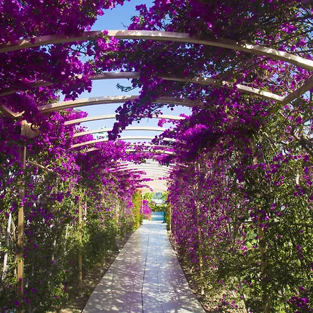 Daima Biz - Dolusu Aquapark Access 5* קמר