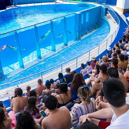 מלון Daima Biz - Dolusu Aquapark Access 5*